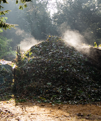 Composting for a Vibrant Vegetable Garden composting