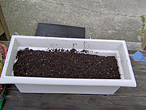 Fill Container About Halfway With Potting Soil Fill Container About Halfway With Potting Soil