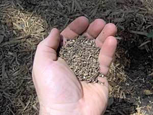 Organic Tomato Fertilizer Organic Tomato Fertilizer