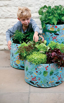 Tips for Getting Children Involved In Vegetable Gardening Tips for Getting Children Involved In Vegetable Gardening