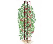 Tomato Ladder Tomato Ladder