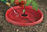 Tomato Savers Tomato Savers