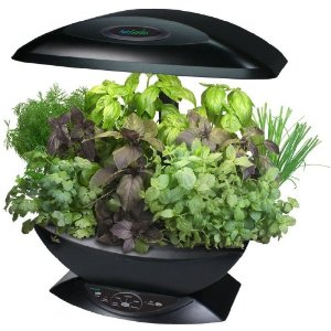 Great New Gardening Gadgets for Your Vegetable Garden Great New Gardening Gadgets for Your Vegetable Garden