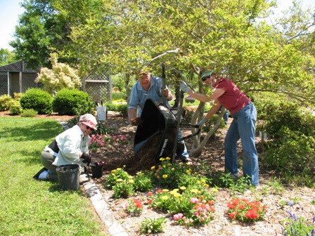 How To Become a Master Gardener
