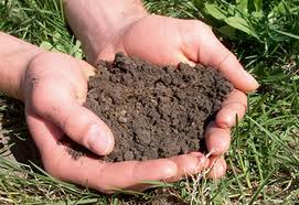 How To Perform a Soil Test