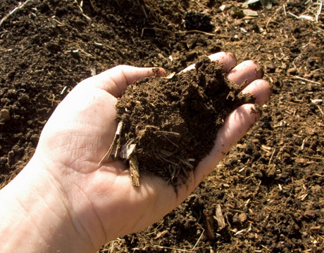 How To Take a Soil Sample for Testing