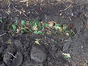 Direct Composting In Your Vegetable Garden direct composting
