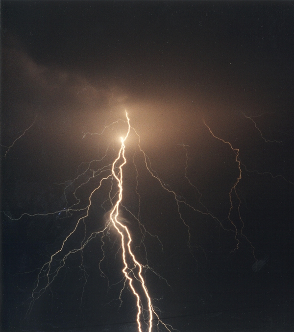 How Lightning Benefits the Vegetable Garden How Lightning Benefits the Vegetable Garden