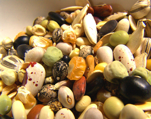 Will Heirloom Vegetable Seeds Become A Thing of the Past? Will Heirloom Vegetable Seeds Become A Thing of the Past