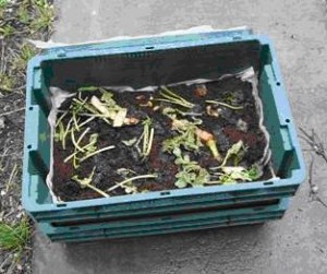 Video: Setting Up a Worm Composting Bin Worm Composting Bin