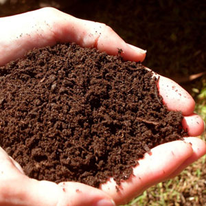 Understanding Soil Nutrients - Potassium