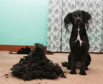 30 Unusual Items You Can Compost unusual items for compost