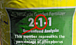 The Middle Number Represents The Percentage of Phosphorus The Middle Number Represents The Percentage of Phosphorus