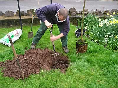 20 Ways You Know You Are Addicted To Gardening