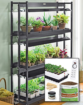 Grow Fresh Herbs and Vegetables All Year Long Grow Fresh Herbs and Vegetables All Year Long