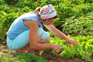 5 Ways To Improve Your Gardening Skills and Knowledge