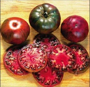 16 Great Web Sites for Heirloom Tomato Seeds 16 Great Web Sites for Heirloom Tomato Seeds