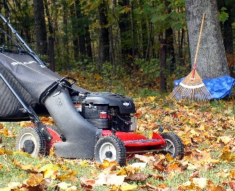 Add Fallen Leaves To Your Vegetable Garden fallen leaves