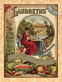 Planning Your Vegetable Garden - Purchasing Seeds Planning Your Vegetable Garden - Purchasing Seeds