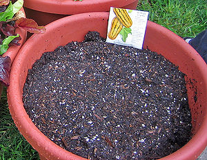 How To Easily Make Potting Soil How To Easily Make Potting Soil