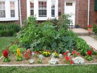 fygarden front_yard_garden