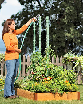 Tips for Watering Tomatoes Deep for Awesome Results Tips for Watering Tomatoes Deep for Awesome Results