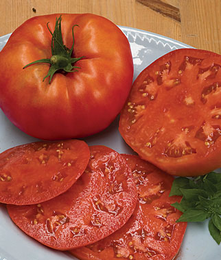 The 10 Best Slicing Tomatoes The 10 Best Slicing Tomatoes