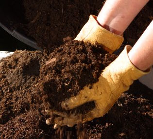 Seven Common Composting Myths