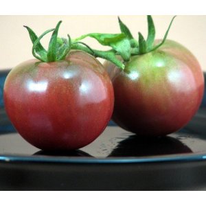 5 Great Tomatoes for Cool Climates 5 Great Tomatoes for Cool Climates