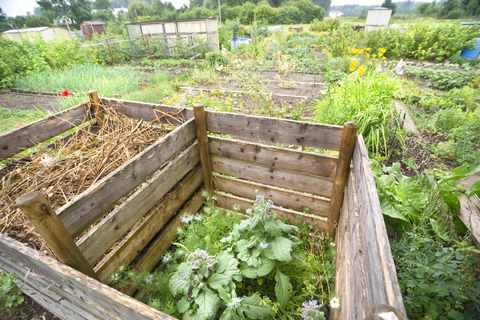 Rev Up Your Compost With a Compost Activator Rev Up Your Compost With a Compost Activator