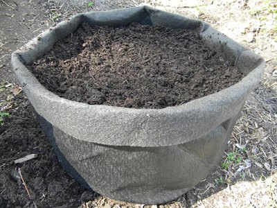 How to Plant Potatoes In a Potato Grow Bag How to Plant Potatoes In a Potato Grow Bag
