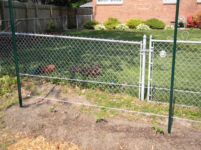 How to Build a Tomato Trellis How to Build a Tomato Trellis