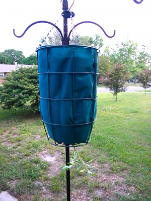 Gardeners Revolution Planter Review Gardeners Revolution Planter Review