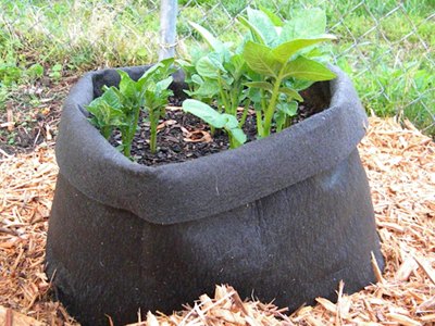 Gardener's Supply Potato Grow Bag Review Gardener's Supply Potato Grow Bag Review