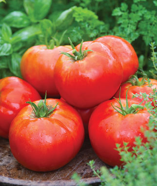 5 Awesome New Vegetable Varieties for 2012 5 Awesome New Vegetable Varieties for 2012