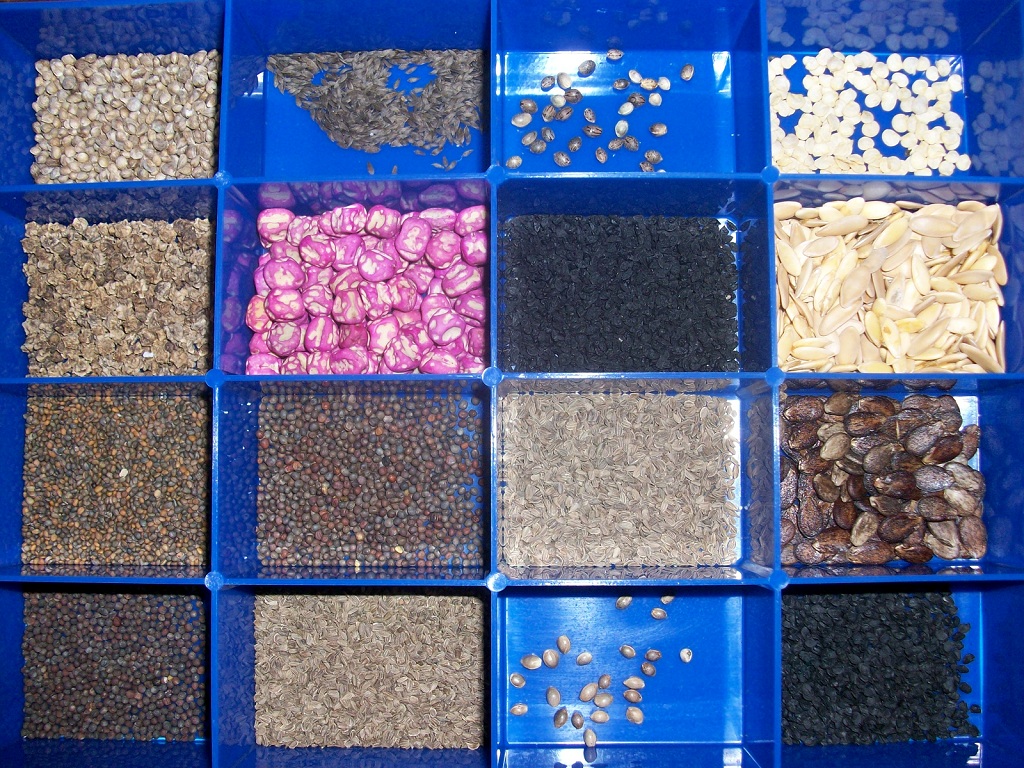 Seed_variety Organized seeds for planting