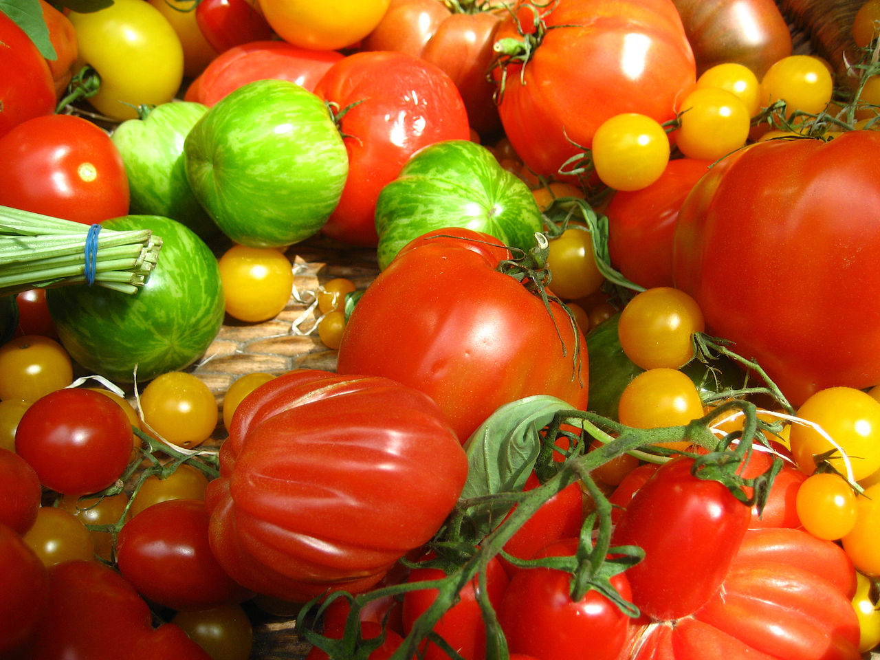 How to Pick the Right Tomato for Your Garden Veggie Gardener