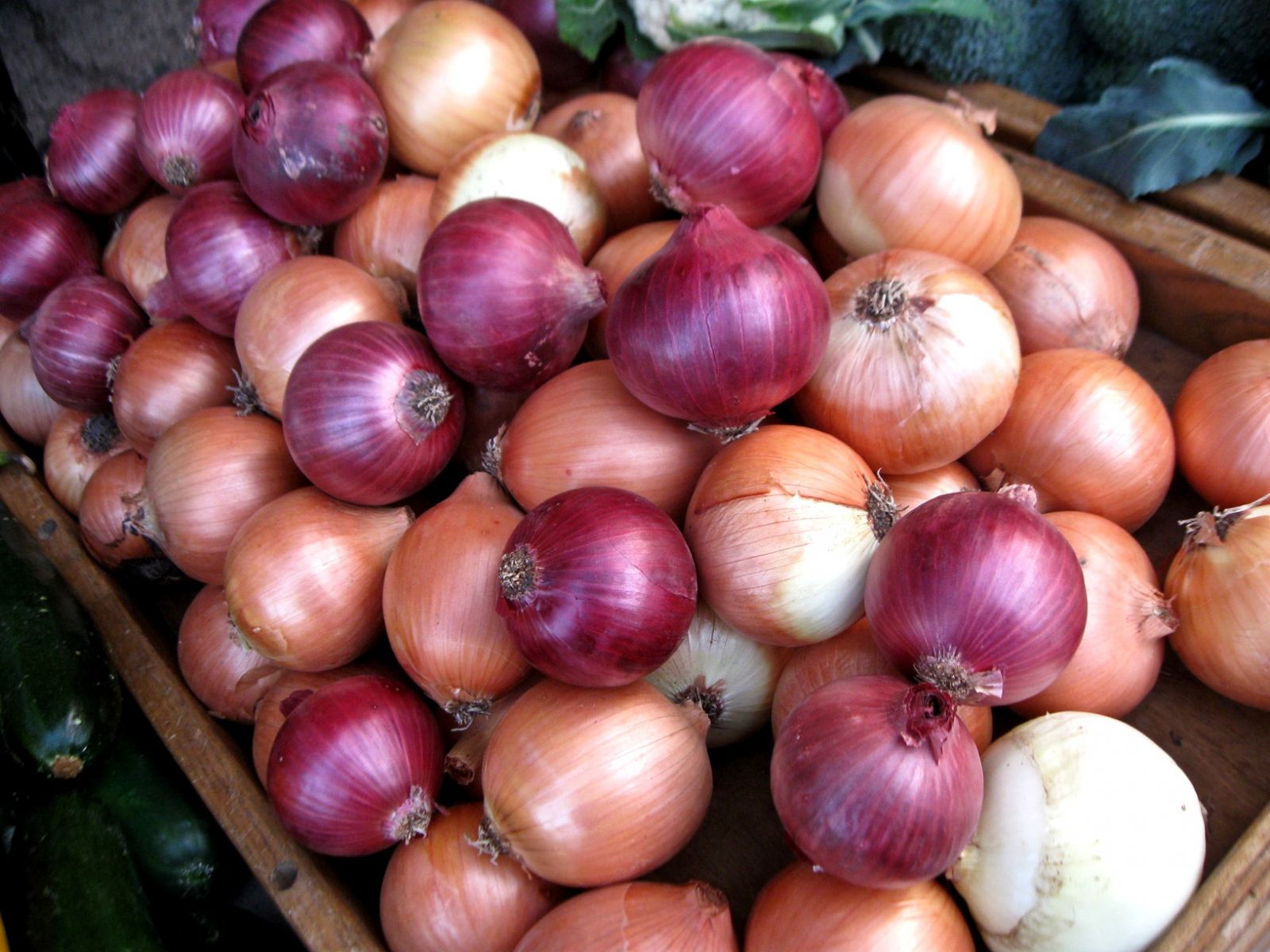 Image result for onions