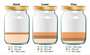 Soil Test by Brave Birds