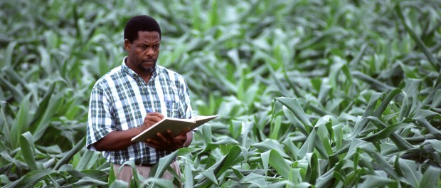 developing a farm plan grant funding for farming and food systems