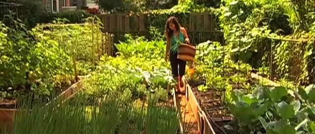 nyc backyard farm