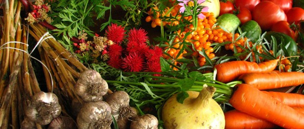 Vegetables1 Vegetables