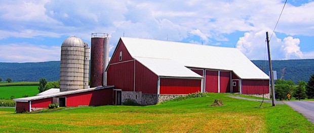 The Beginning Farmer Quiz: Do You Have What It Takes? | Beginning Farmers