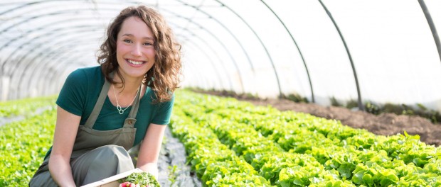 jobs and internships Local Food Resources