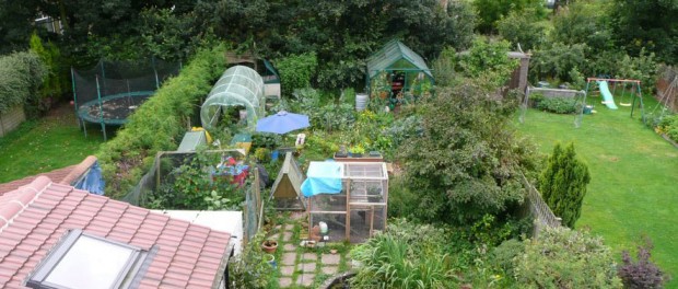 urban farming