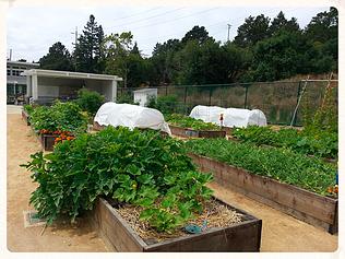 MVCG beds Children's Garden Job