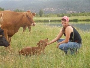 Artisan Cheese Apprenticeship
