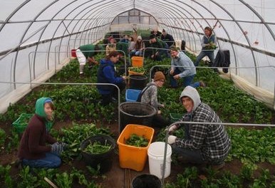 8124133 Organic Farmer Training Program