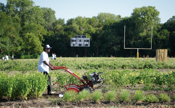 Student Tilling Farm Foreman Job in Texas