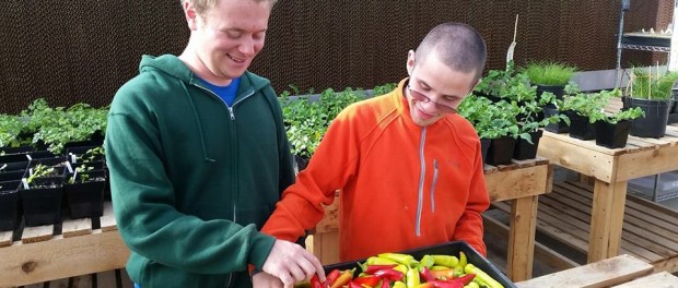 Trellis2 Trellis Center Farm Manager Job